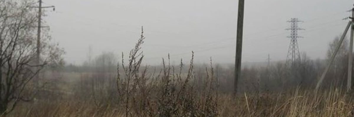 willow 🎧🦌🌲 banner