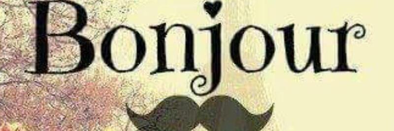 Vio_le_ta's profile banner image