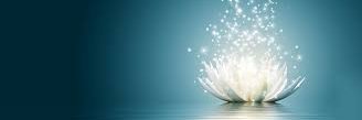 Linxi_0626's profile banner image