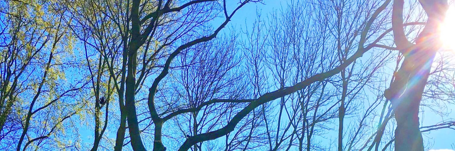 itsME_DYLAN's profile banner image