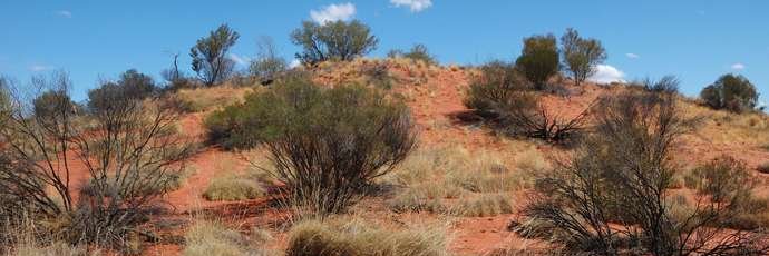 Nandera 🏳️‍🌈 banner
