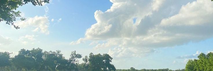 Zora【𝙆𝙍𝘽𝙏】 banner