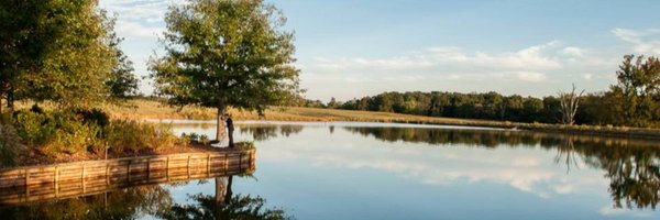 kvoth Profile Banner