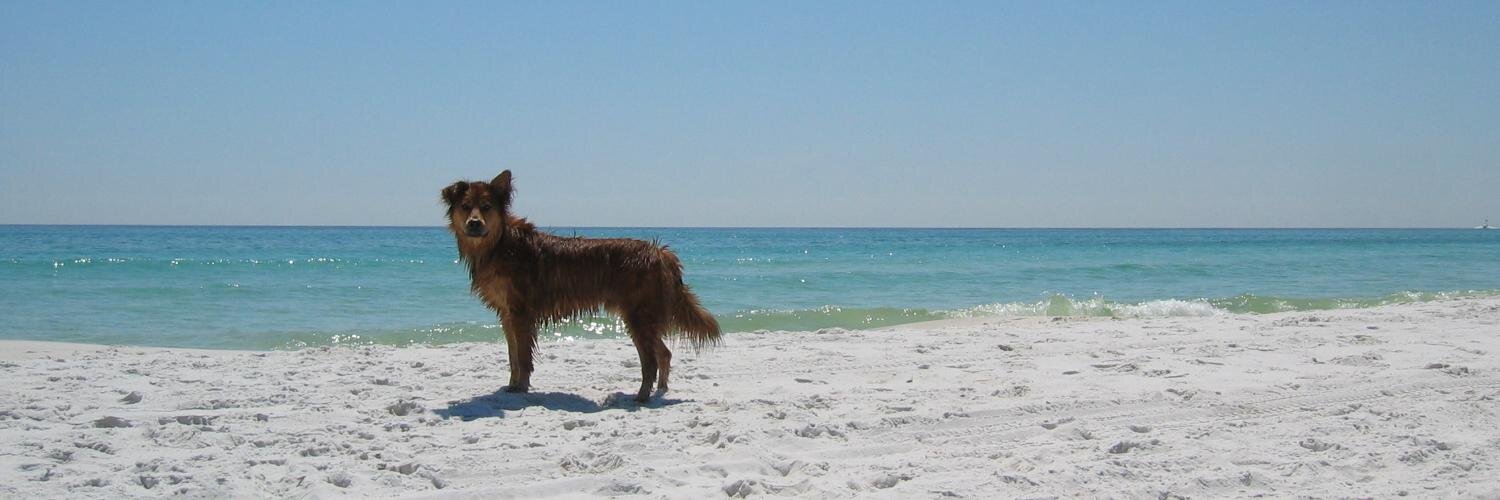 befletcher's profile banner image