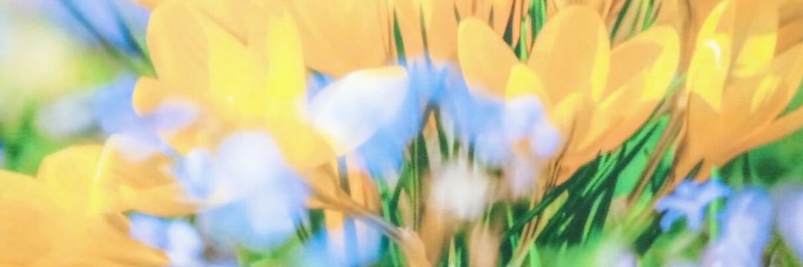 chen_forddd's profile banner image