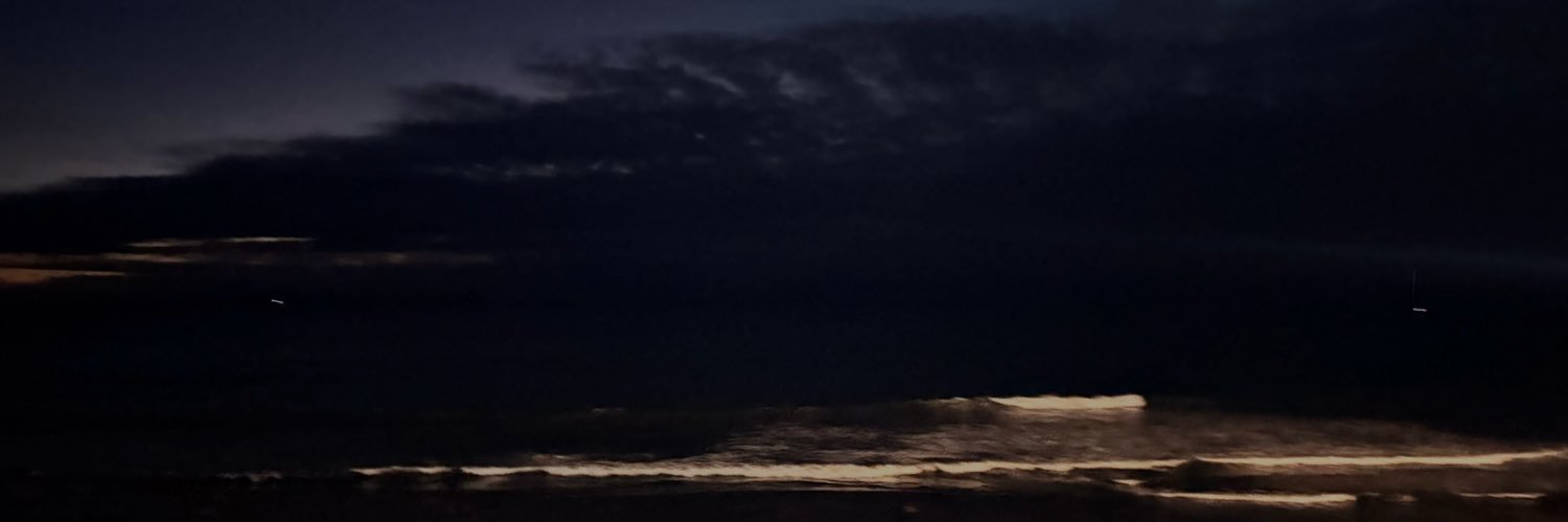 ana banner