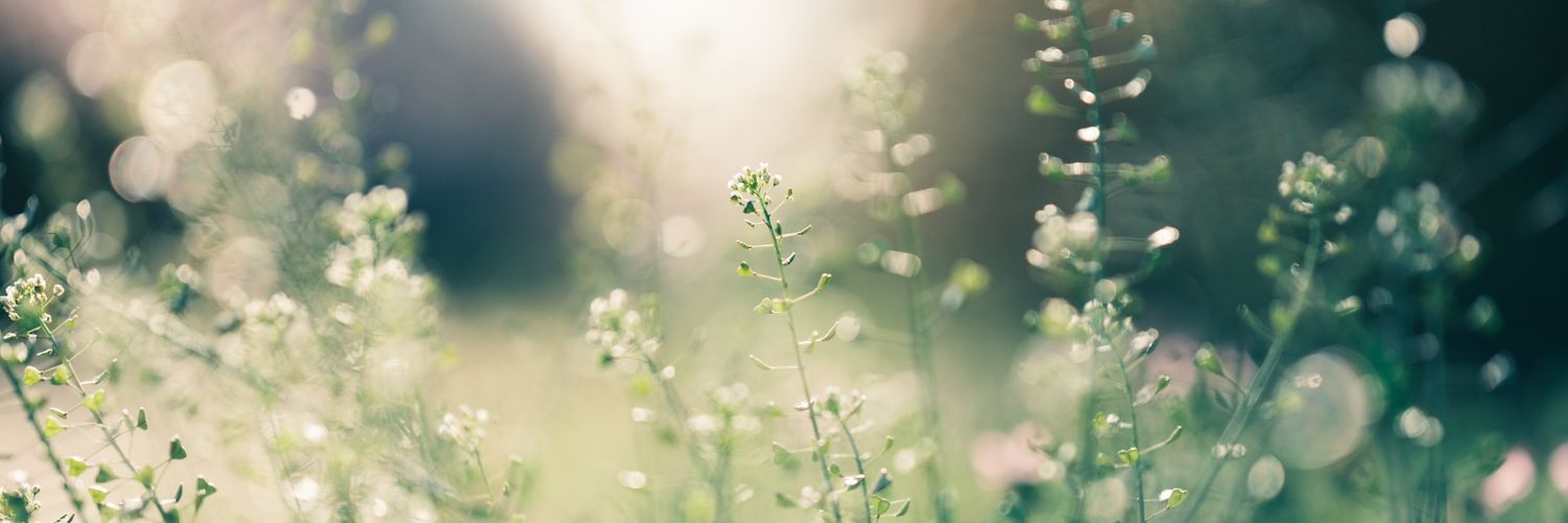 𝐜𝐡𝐚𝐥𝐤 ✧'s banner