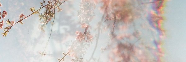 kreideblum Profile Banner