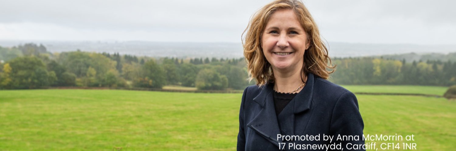 Anna McMorrin MP banner