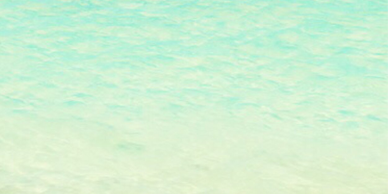 ChiuSonia's profile banner image