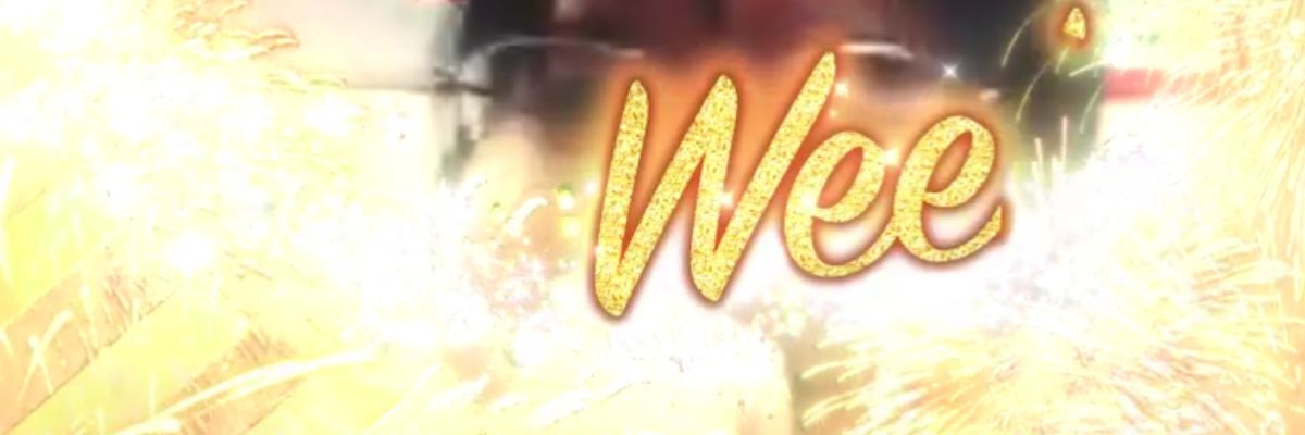 VMerfsgran's profile banner image