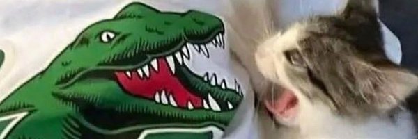 nutellameows Profile Banner