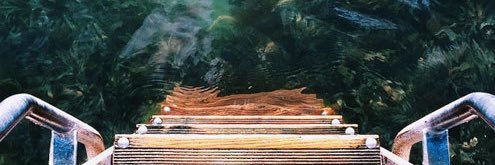 Teddy Marks 🇨🇦 banner