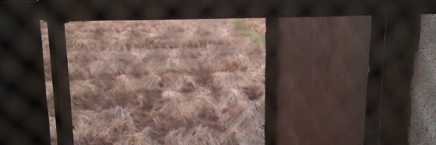 numberr011's profile banner image