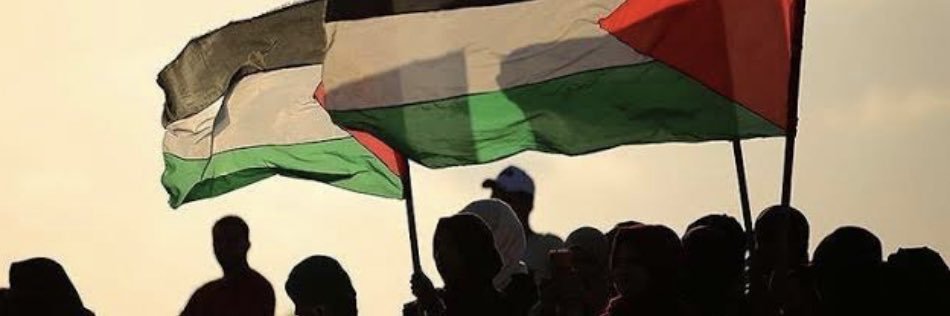 🇵🇸 banner
