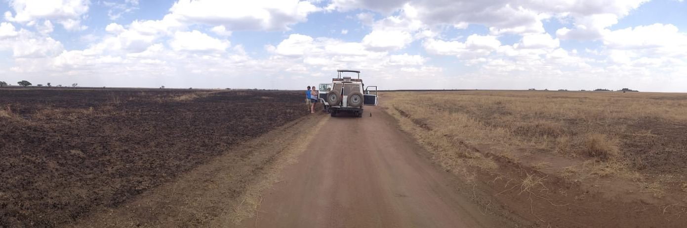 Daniel Ashmore banner