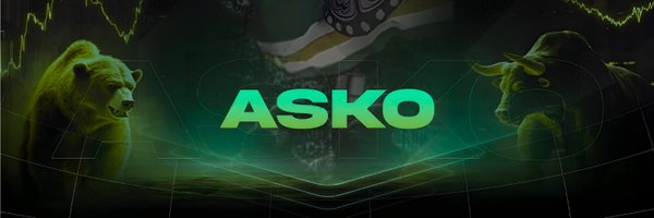 asko_9505 Profile Banner