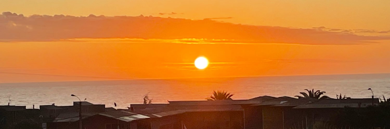 G González Rocha banner