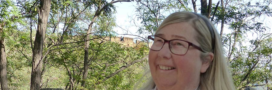UlrikaHall's profile banner image