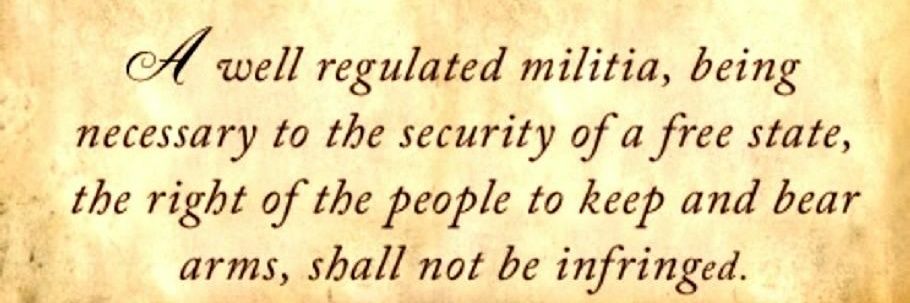 2nd Amendment = Freedom banner
