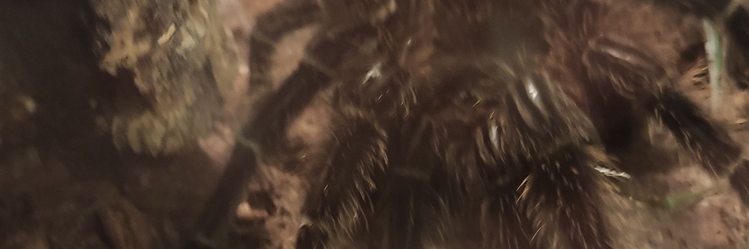 Mar... banner