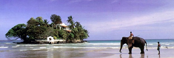 RameshSchaffter Profile Banner