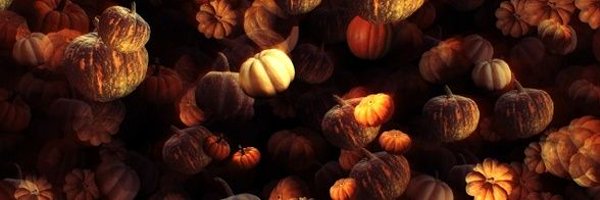 Stupid Pumpkin🆖️ Profile Banner