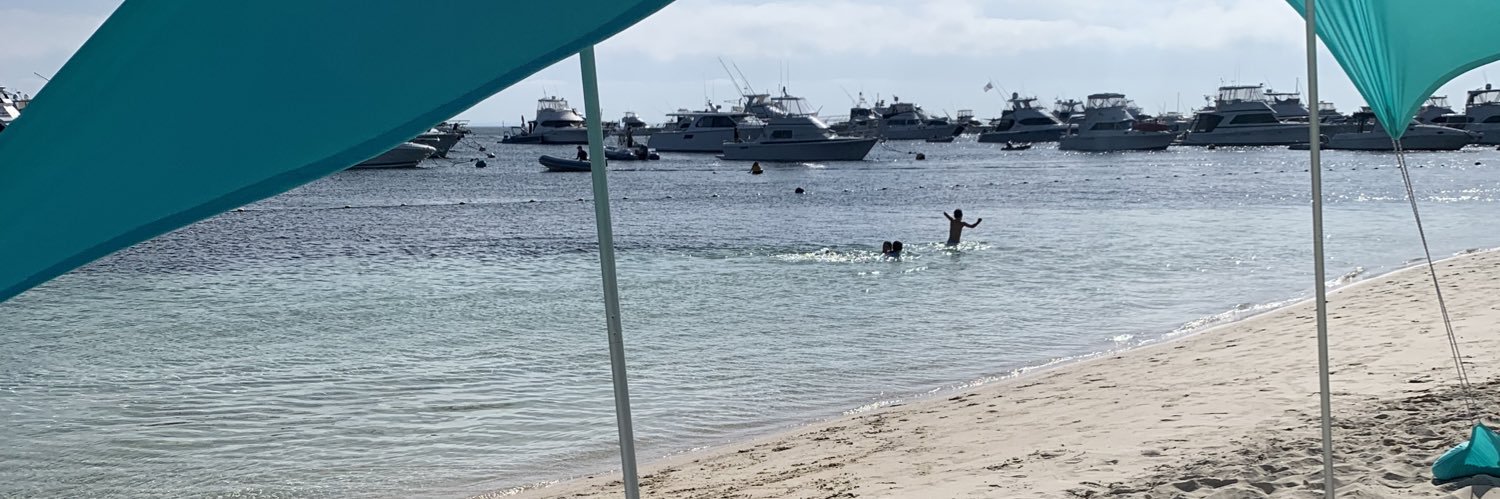 Silverback Cam banner