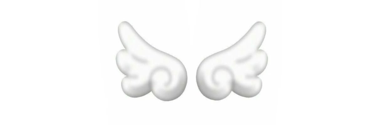 wingssdaeri's profile banner image