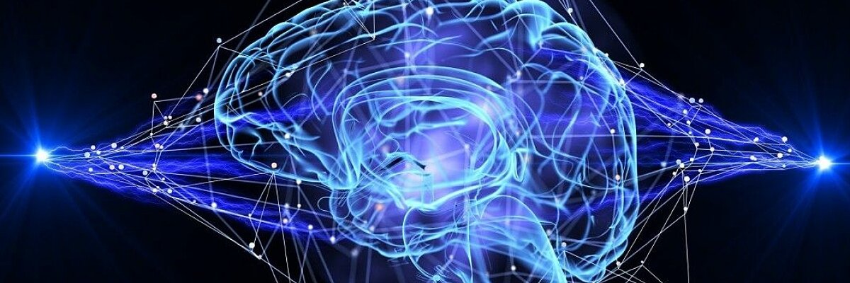 Framingham Heart Study Brain Aging Program banner