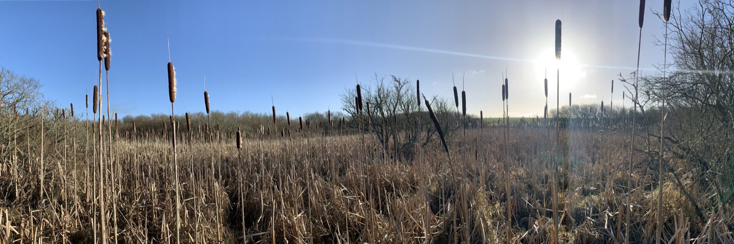 Possan Fainaghey Vannin (Manx Ringing Group) banner