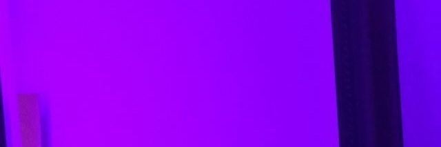 Finch__2's profile banner image