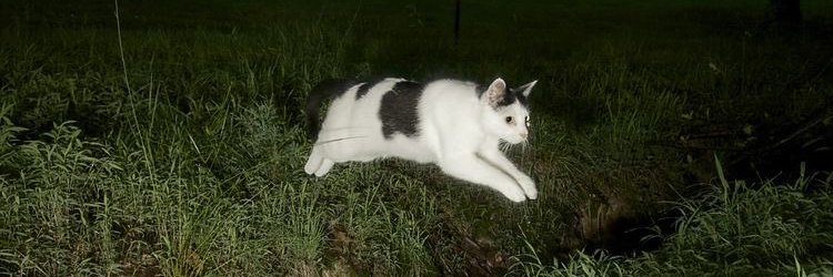 muygrosera's profile banner image