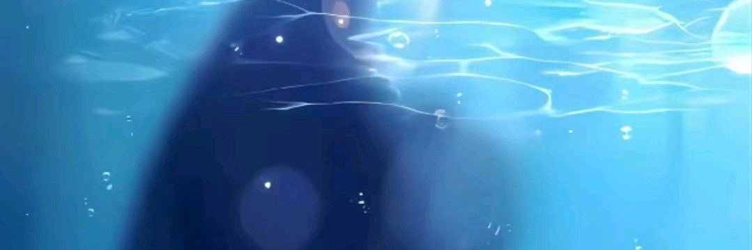 vanessar247's profile banner image