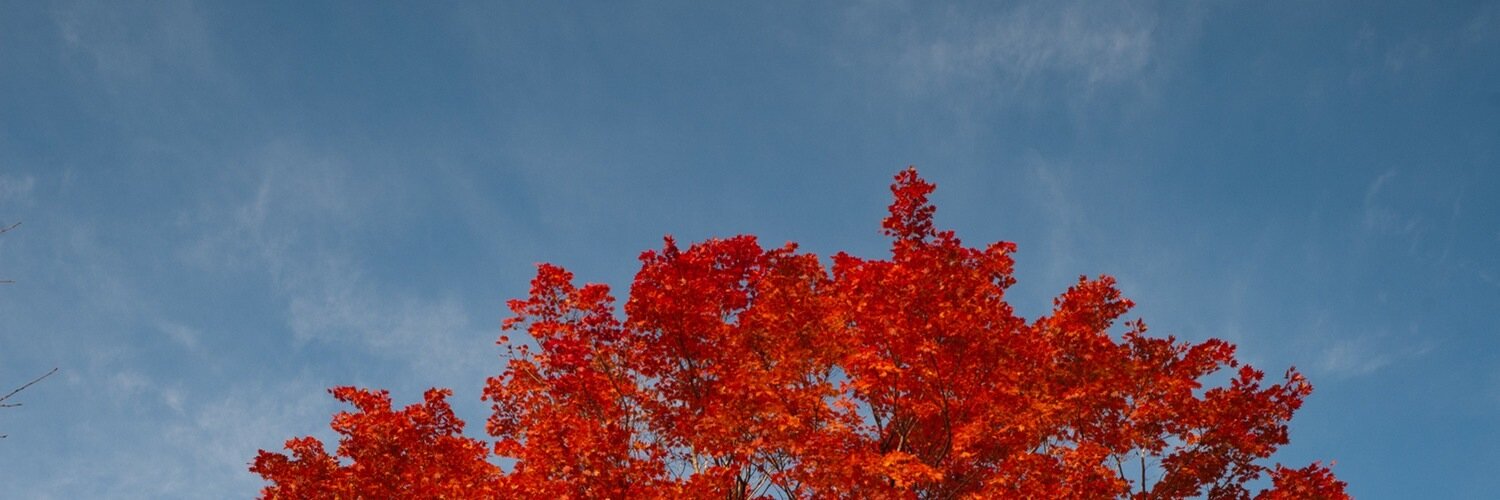 soryu2's profile banner image