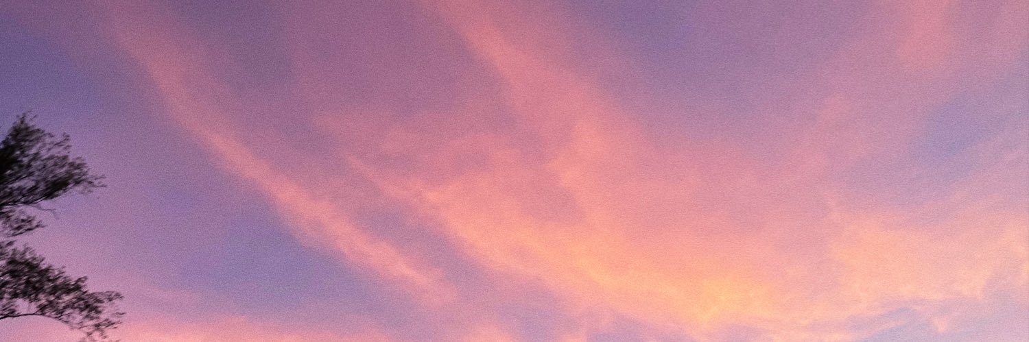 bridgetpw_'s profile banner image