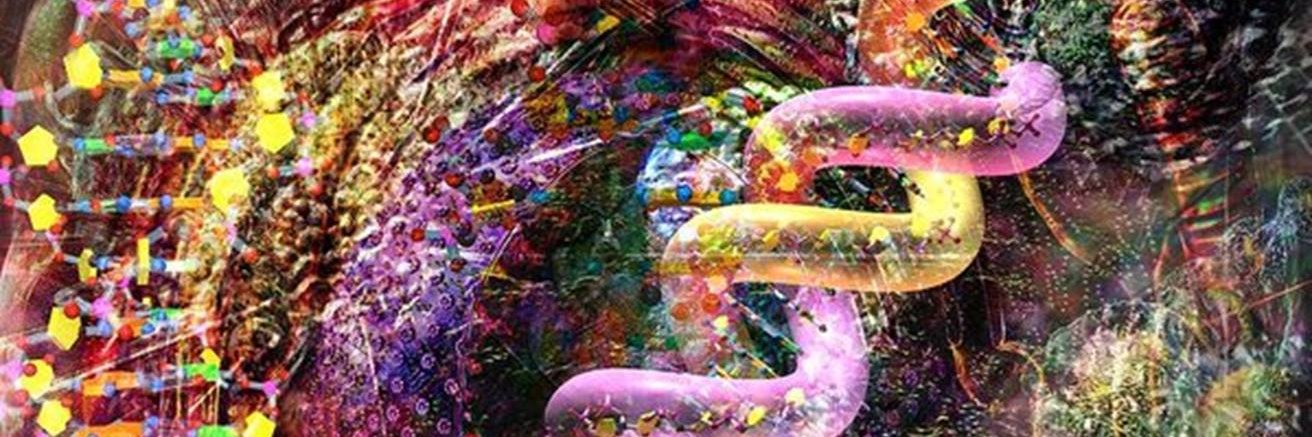 Candice Stone banner