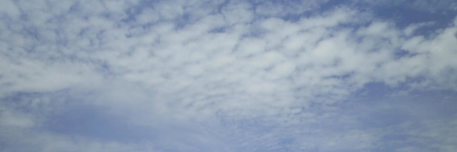 anyaprakad's profile banner image