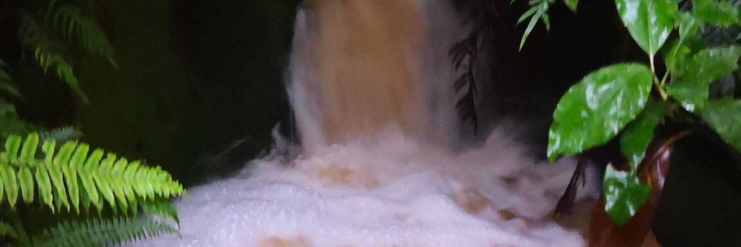 Emma banner