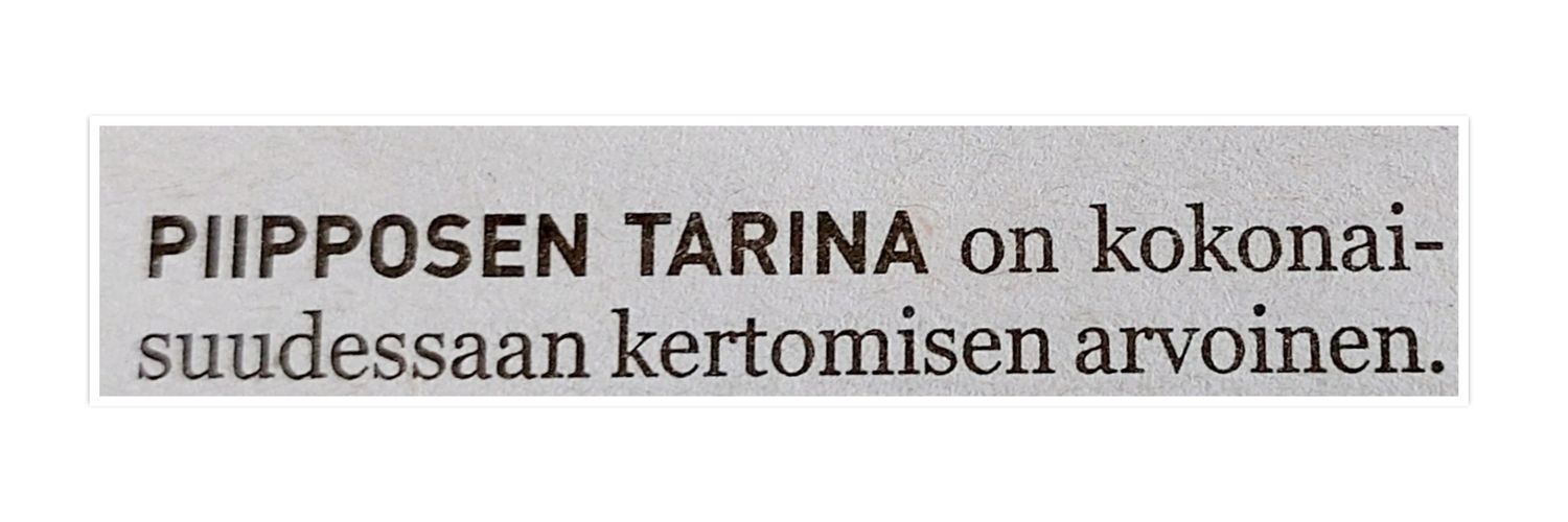 Ulla-Mari Piipponen banner