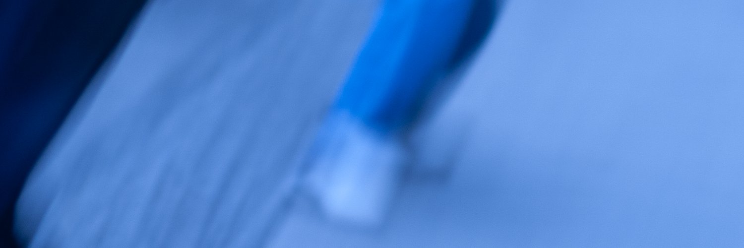 Lale van Lee banner