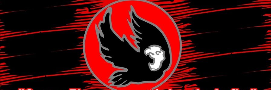 Marcelo Vidal banner