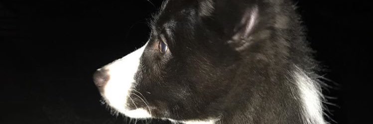 __im_ic's profile banner image