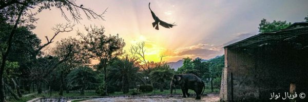 SunilJamill Profile Banner