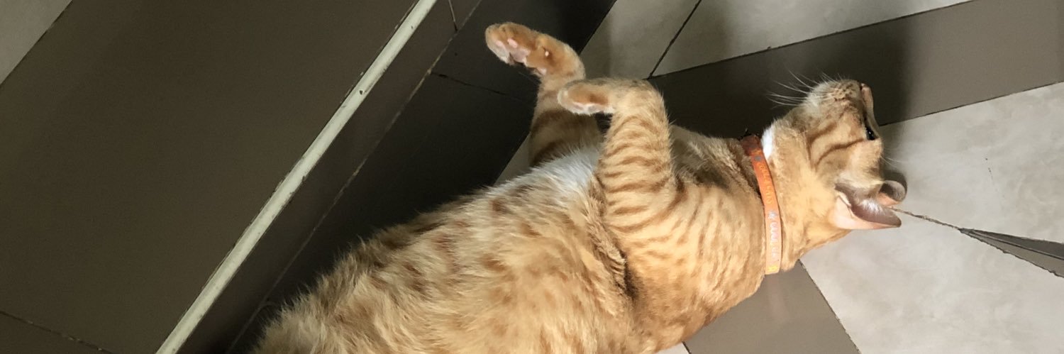 momopeesuke's profile banner image