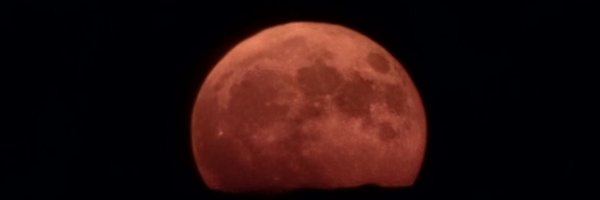 shashigalore Profile Banner