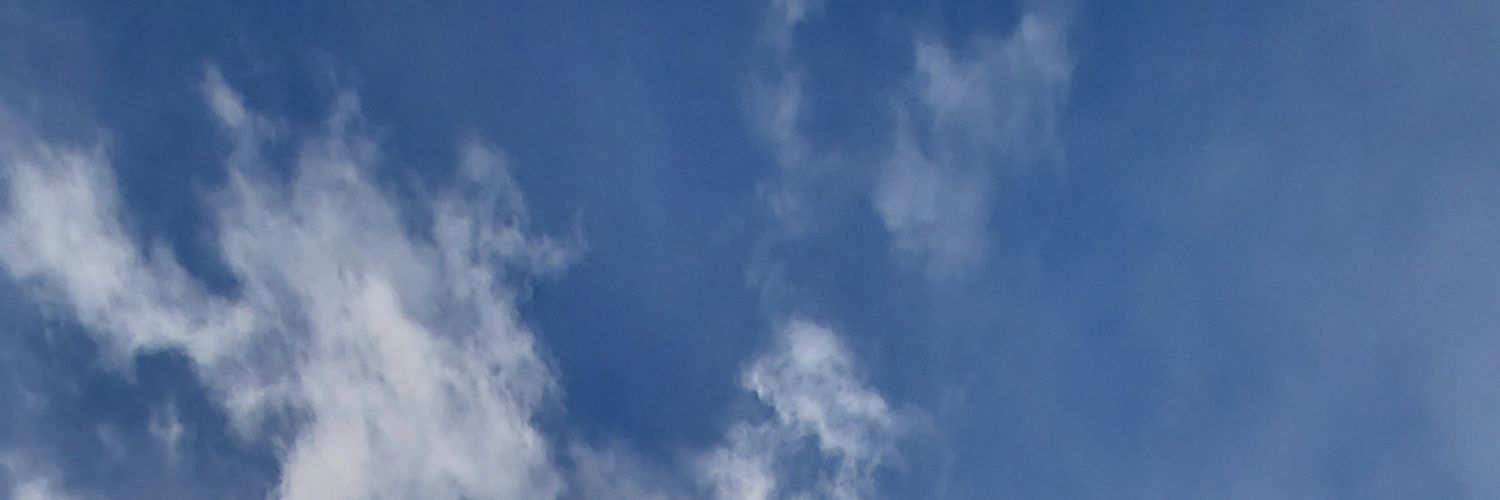 soldbysunny's profile banner image