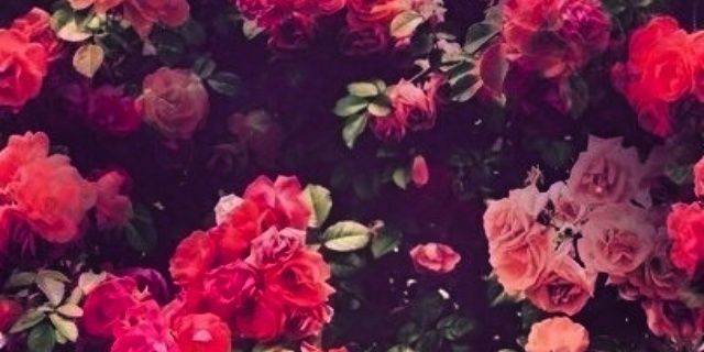 MitsiVer's profile banner image