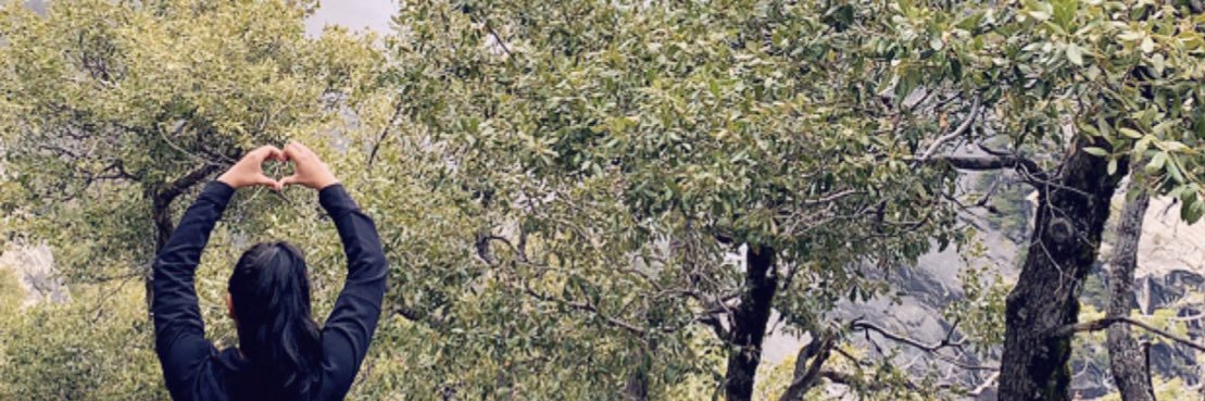 MissEstevess's profile banner image