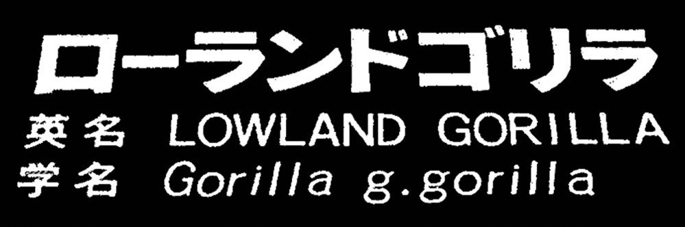 s_39ra's profile banner image